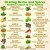 Healing Herbs and Spices - 