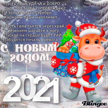Happy New Year 2021!